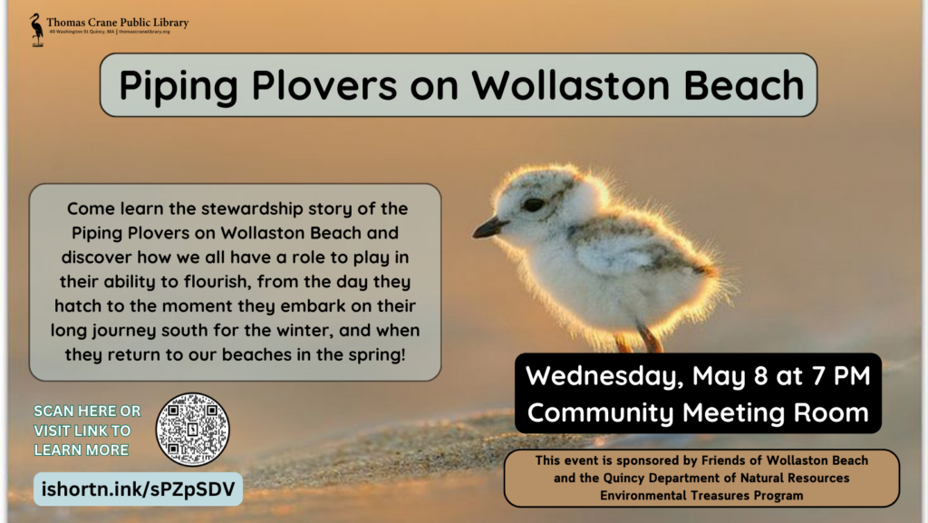 This image has an empty alt attribute; its file name is Piping-Plovers-Cover-1024x577.png