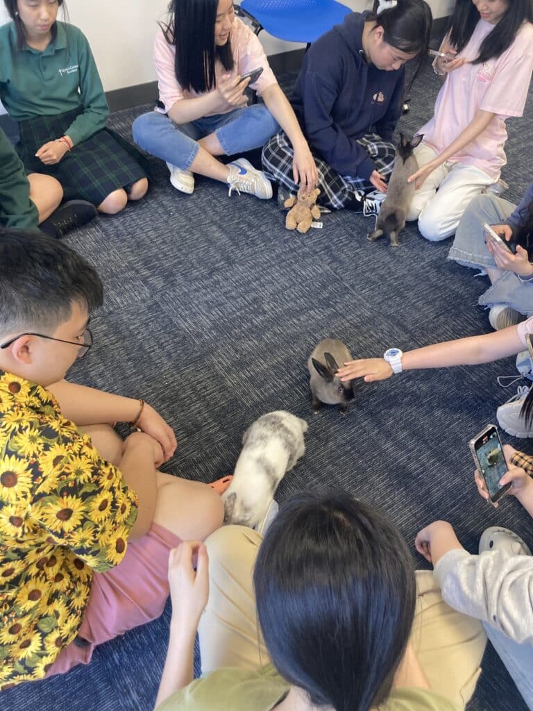 Екі азиялық әйел массажға келді