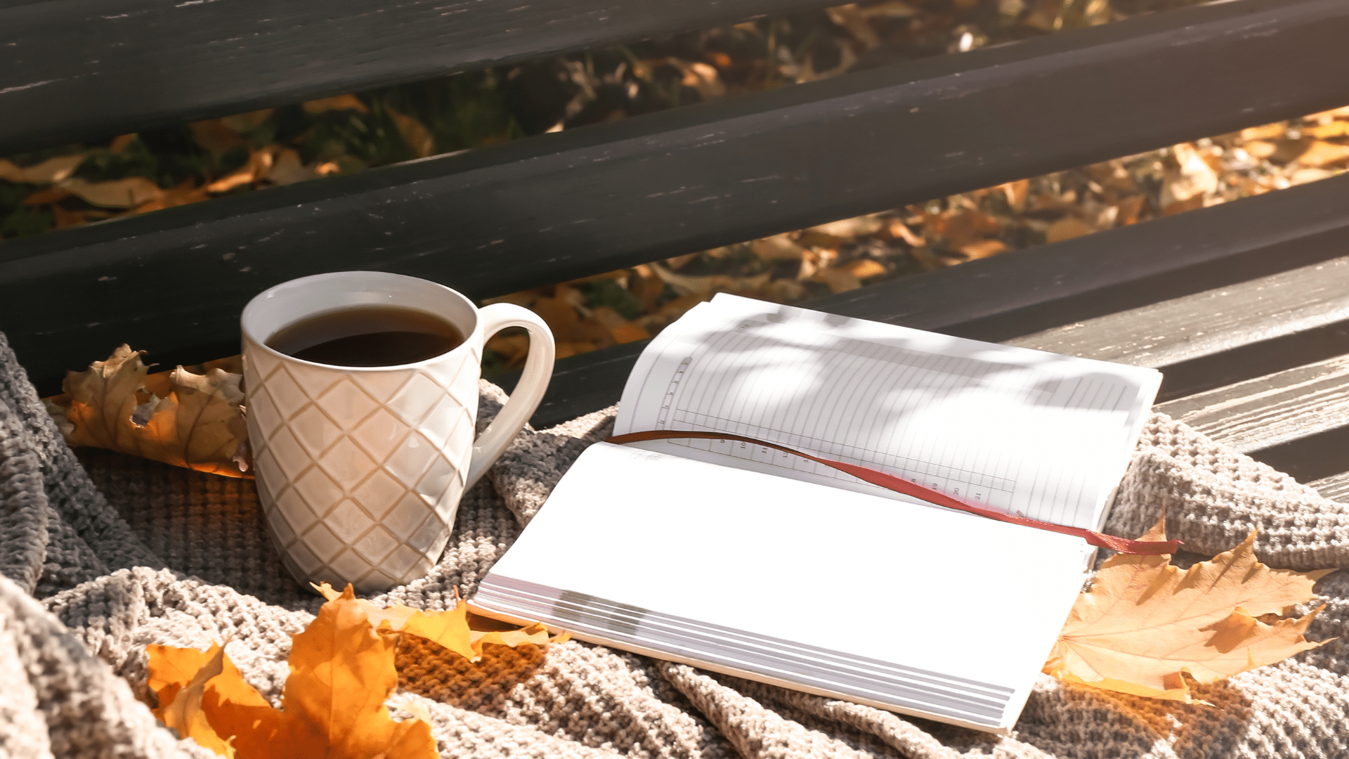 Fall 2025 Book Clubs from the Library!